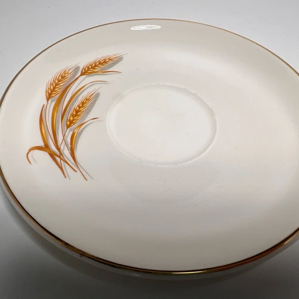3/$25 Sale! Vintage Home Laughlin Golden Wheat‎ Pattern Teacup and Saucer Set